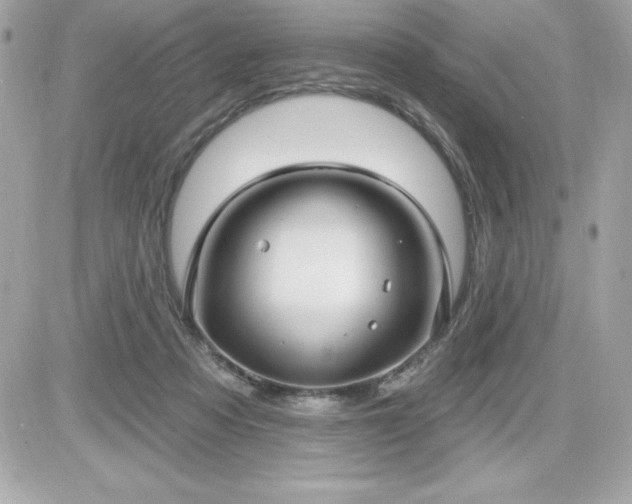X0000081580313200701221034