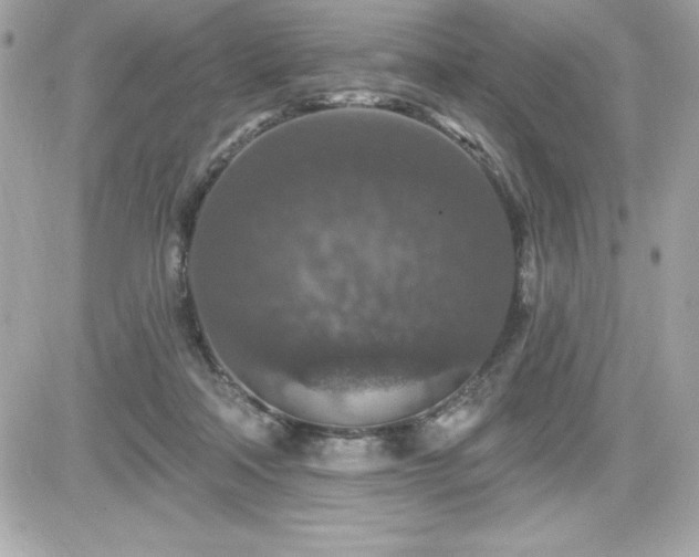 X0000081580314200701221034