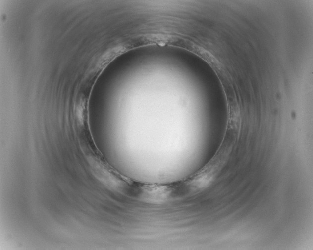 X0000081580334200701221034
