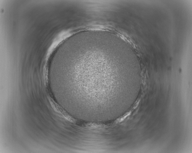 X0000081580343200701221033