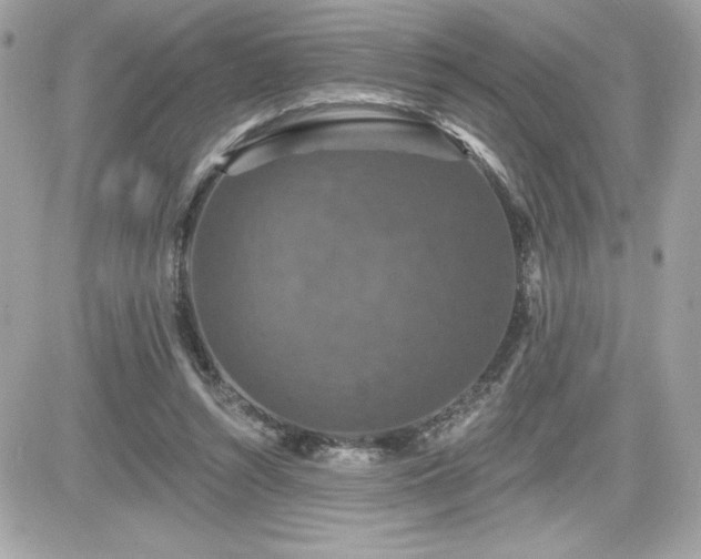 X0000081580352200701221033