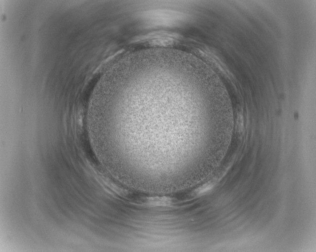 X0000081580363200701221034