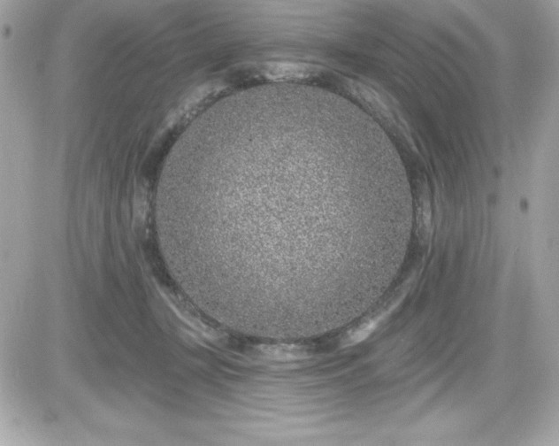 X0000081580367200701221034