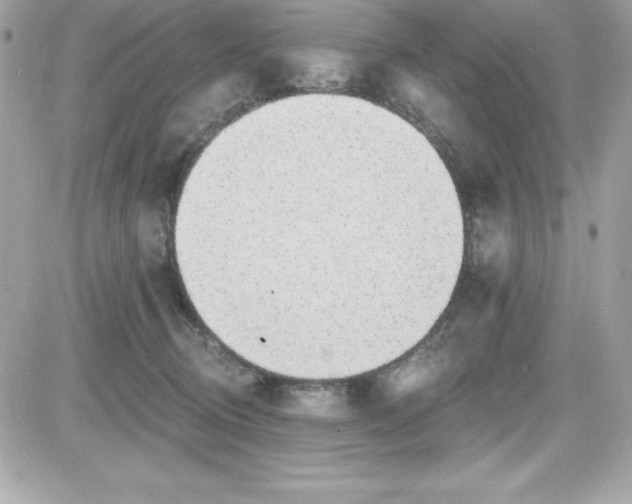 X0000081580370200701221034