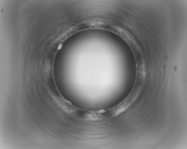 X0000081580372200701221034