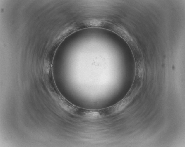 X0000081580374200701221034