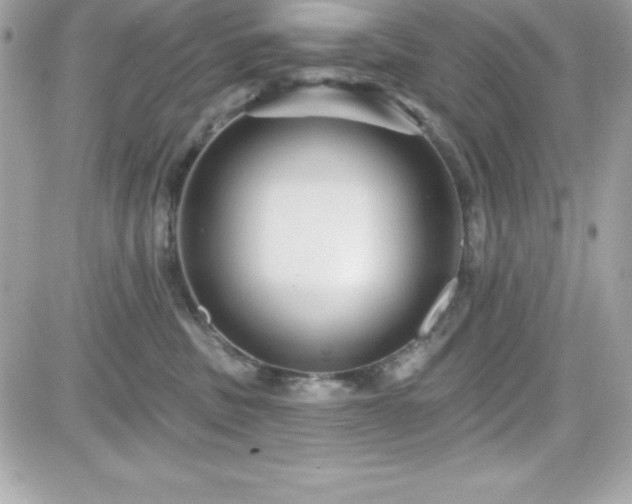 X0000081580379200701221034