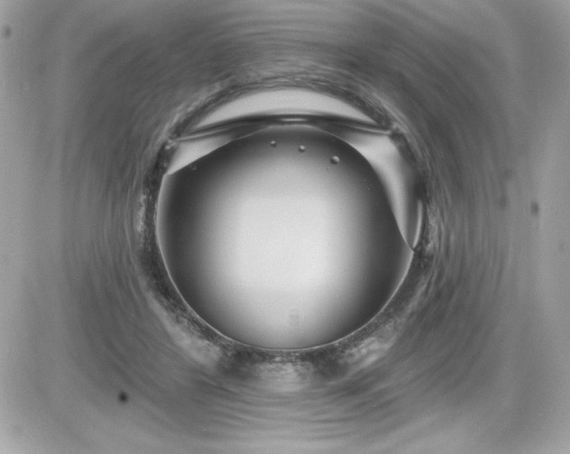 X0000081580404200701221033