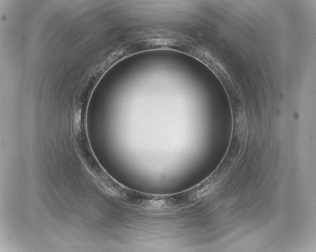 X0000081580406200701221033