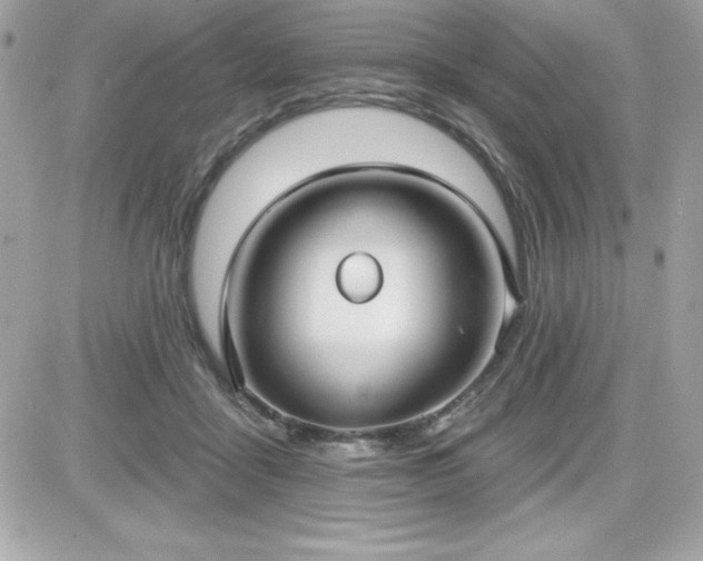 X0000081580411200701221033