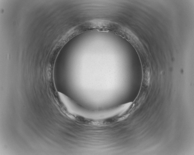 X0000081580413200701221033