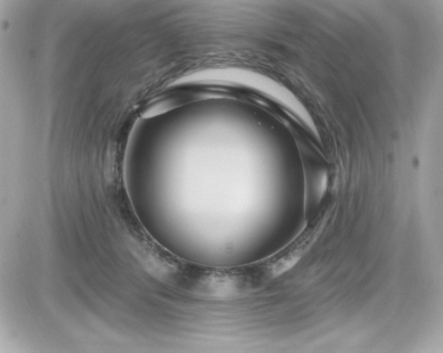 X0000081580416200701221033