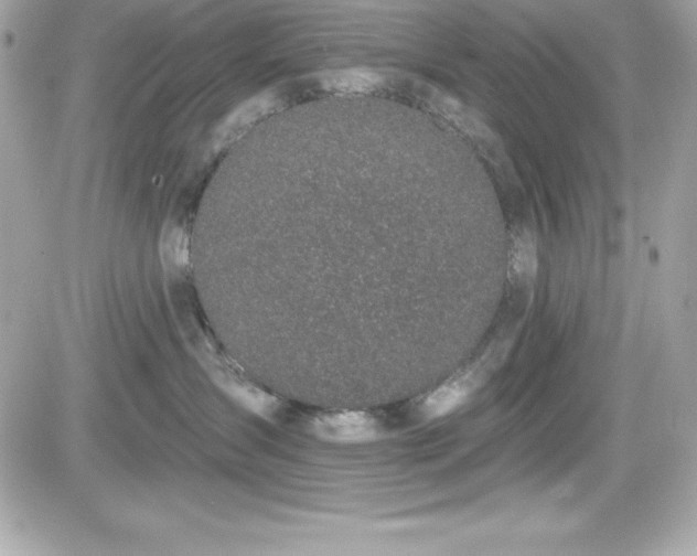 X0000081580431200701221032