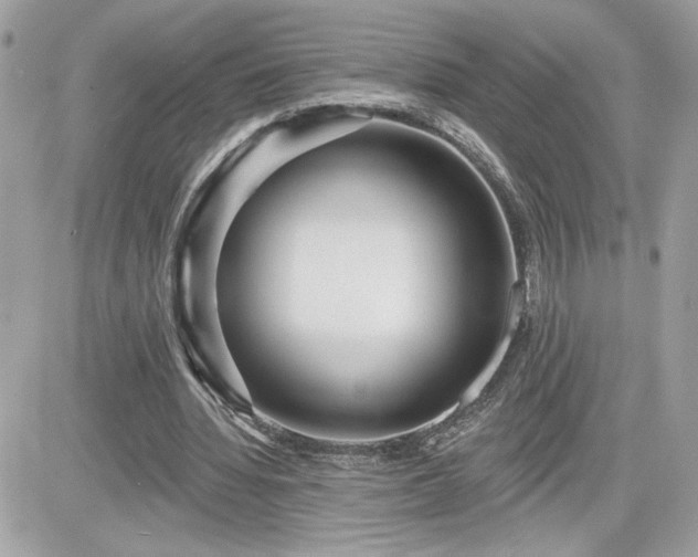 X0000081580436200701221032