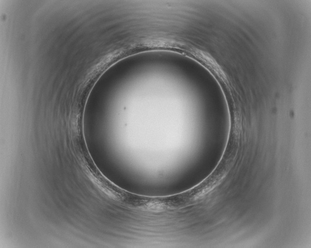 X0000081580441200701221032