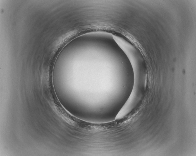 X0000081580442200701221032