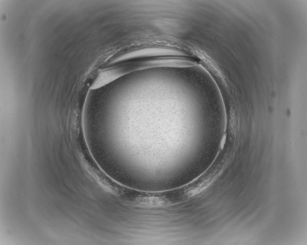 X0000081580449200701221032