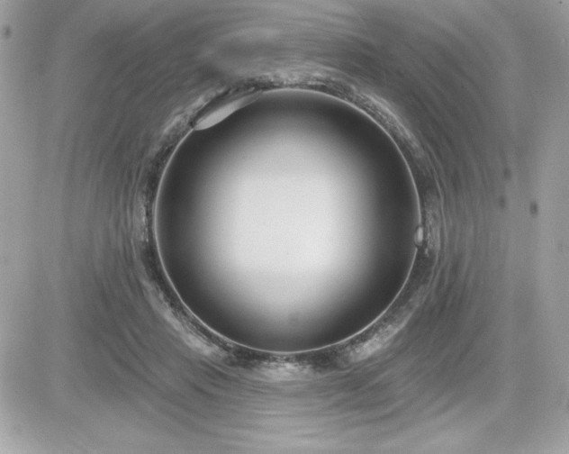 X0000081580453200701221032