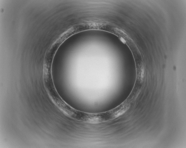 X0000081580456200701221032