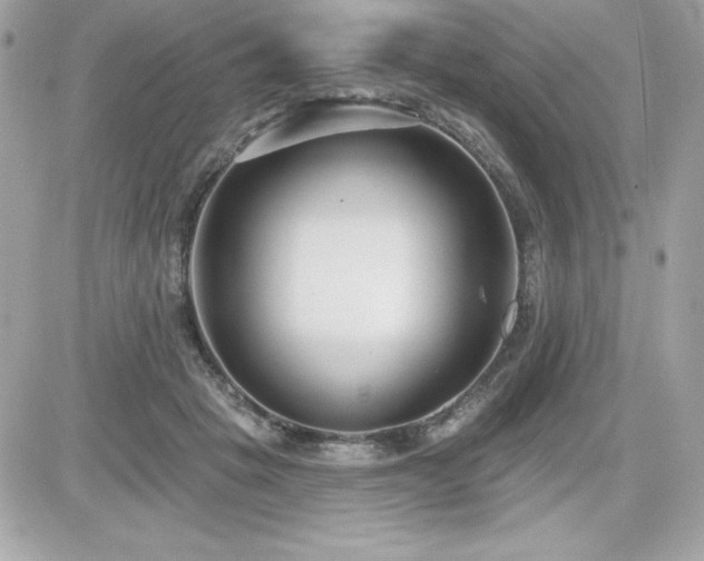 X0000081580457200701221032