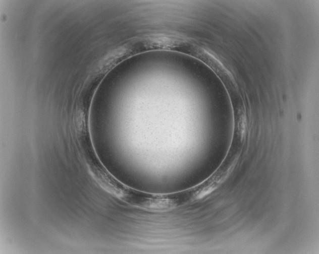 X0000081580459200701221032
