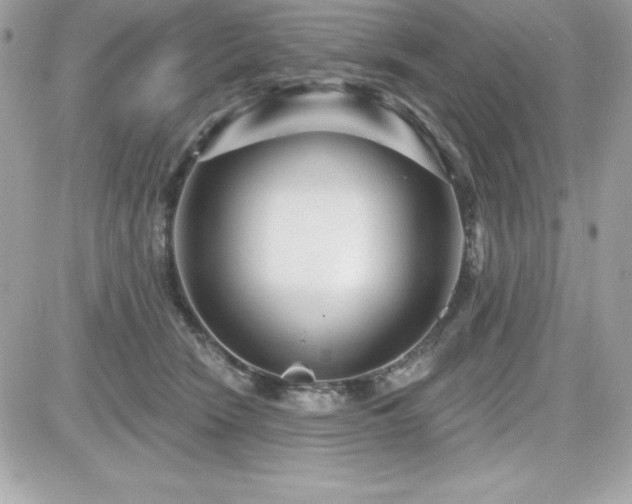 X0000081580466200701221032