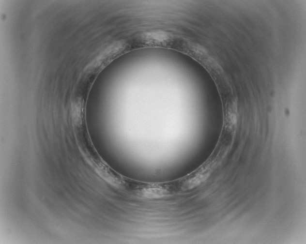 X0000081580468200701221032