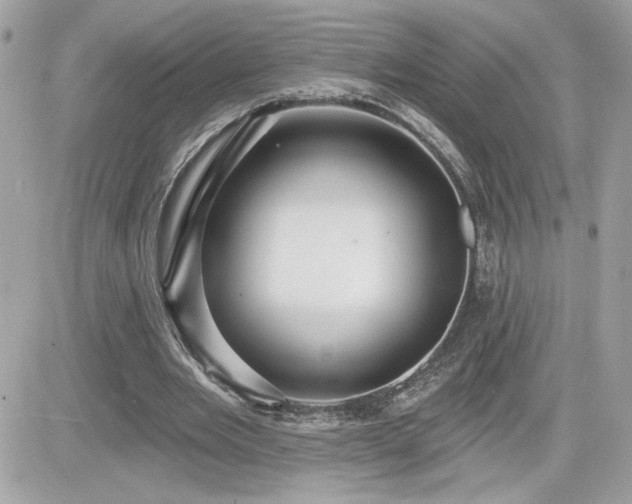 X0000081580485200701221032