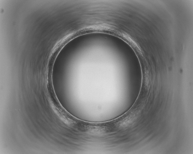 X0000081580486200701221032