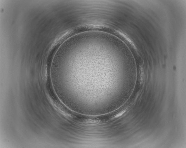 X0000081580494200701221031