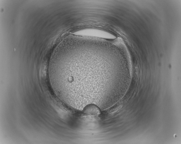 X0000081580499200701221031