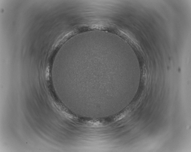 X0000081580502200701221031