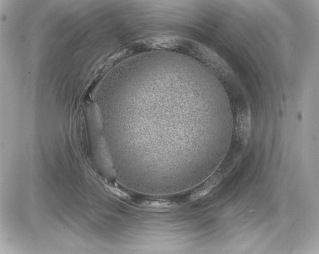 X0000081580506200701221031