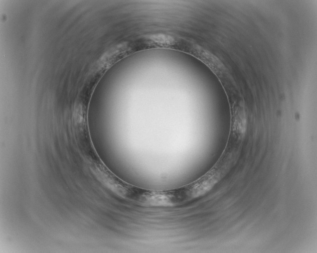 X0000081580518200701221031