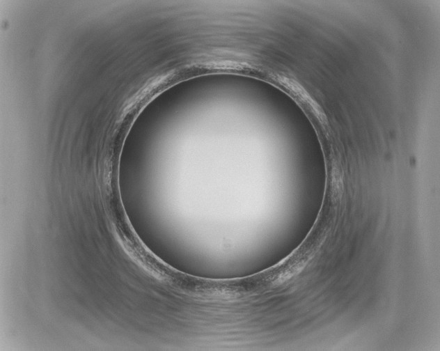 X0000081580533200701221030