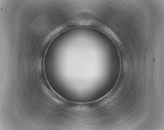 X0000081580537200701221030