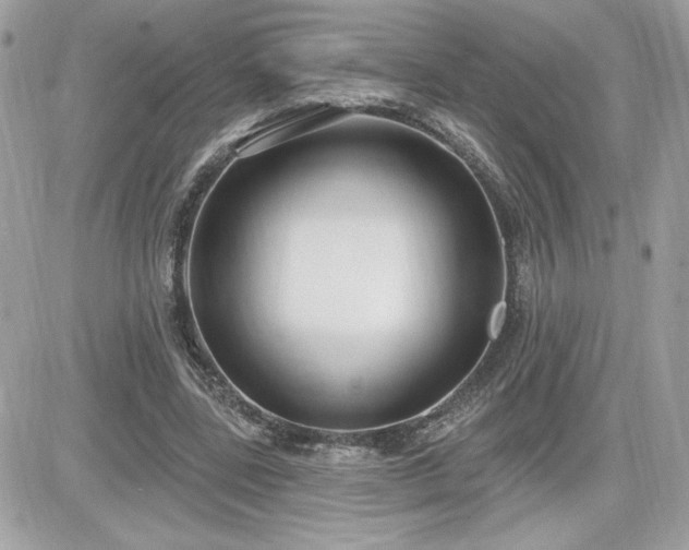X0000081580539200701221030