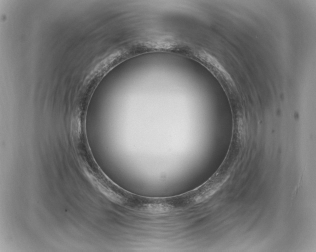 X0000081580541200701221030