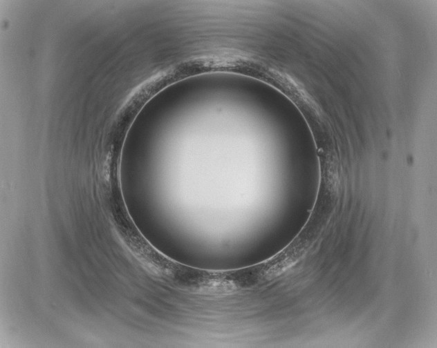 X0000081580543200701221030