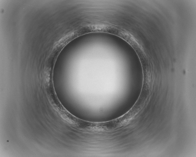 X0000081580545200701221030