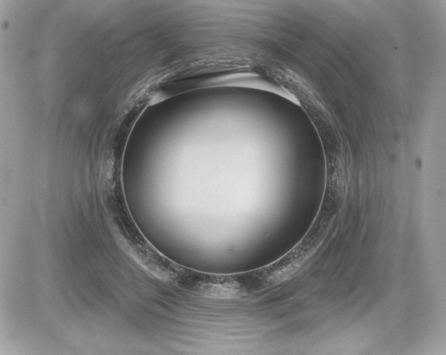 X0000081580548200701221030