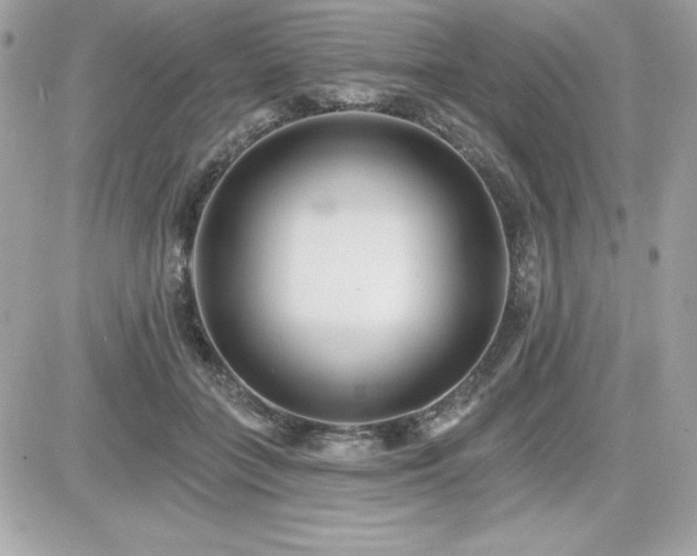 X0000081580555200701221031