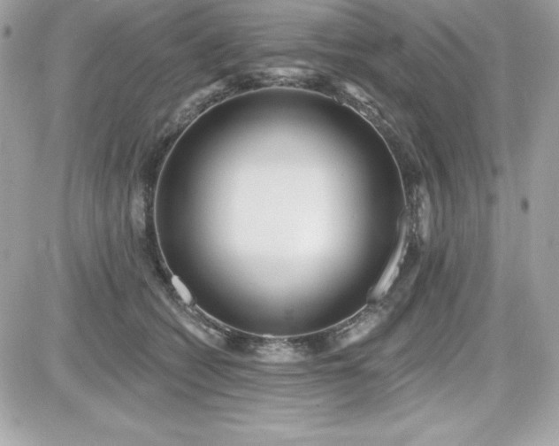 X0000081580562200701221031