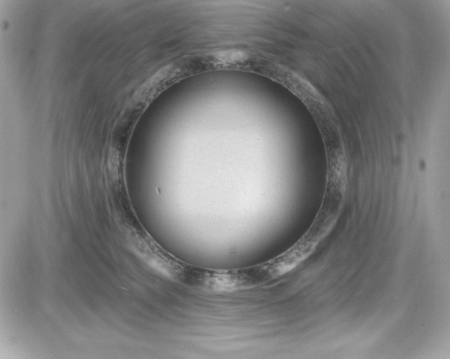 X0000081580565200701221031