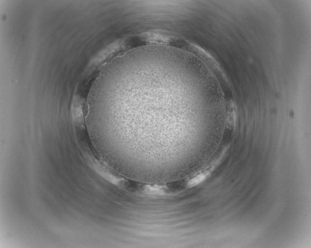 X0000081580573200701221031