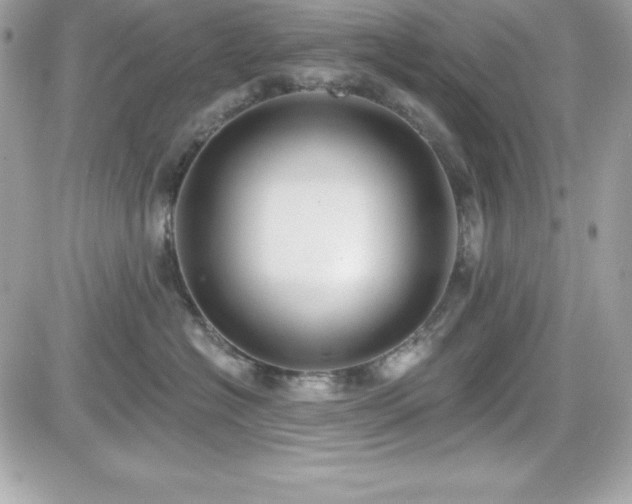 X0000081580574200701221031
