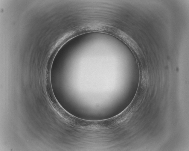 X0000081580578200701221030