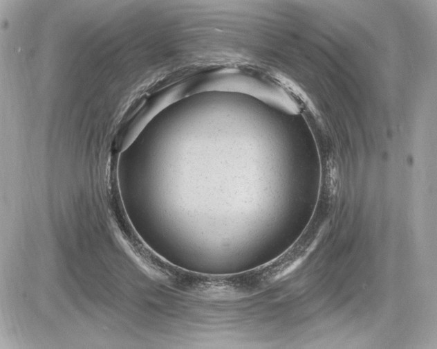 X0000081580589200701221030