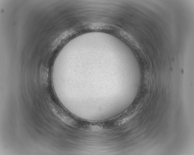 X0000081580592200701221030