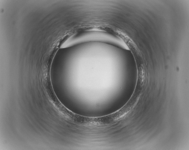 X0000081580593200701221030